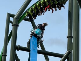 YoY (Thrill - Green)