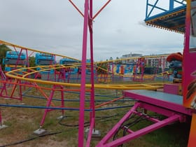 Wild Mouse