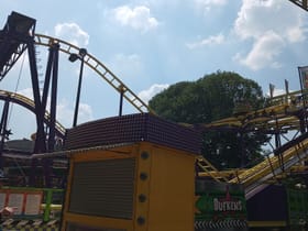 Wild Mouse