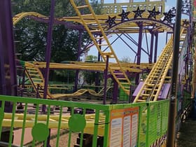 Wild Mouse