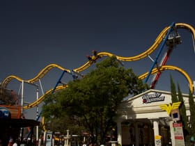 Wonder Woman Coaster