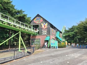 Wood Land Jet Coaster