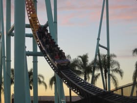 Xcelerator