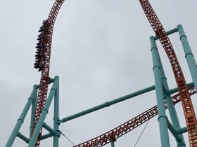 Xcelerator