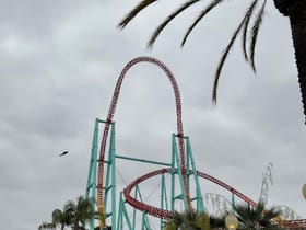 Xcelerator