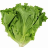 Lettuce Two